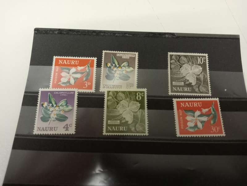 HUGE THEMATICS COLLECTION ALL ON 32 STOCK CARDS,paintings,plants etc etc-ALL UMM, BARGAIN