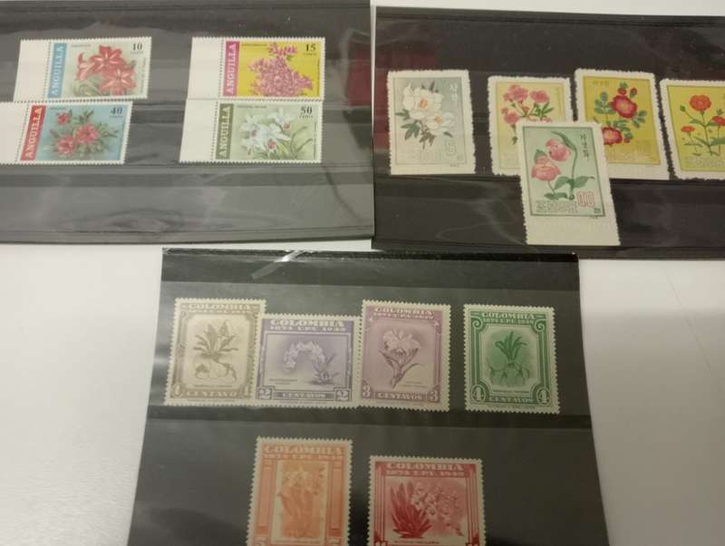 HUGE THEMATICS COLLECTION ALL ON 32 STOCK CARDS,paintings,plants etc etc-ALL UMM, BARGAIN