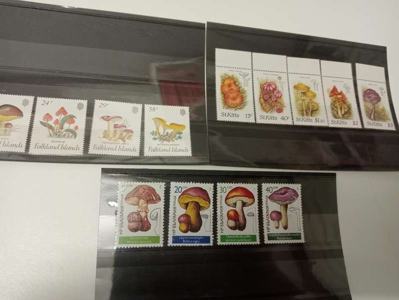 HUGE THEMATICS COLLECTION ALL ON 32 STOCK CARDS,paintings,plants etc etc-ALL UMM, BARGAIN
