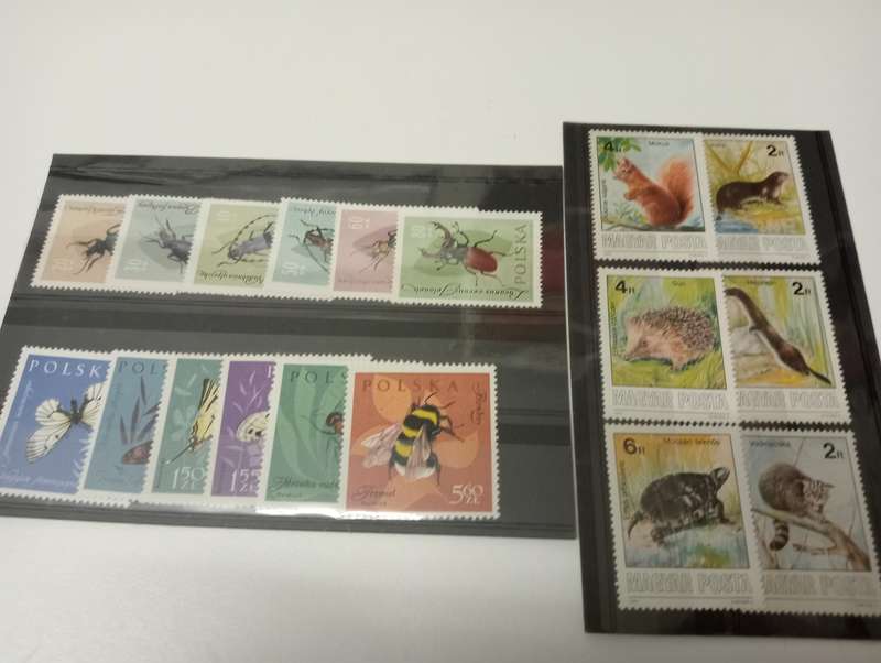 HUGE THEMATICS COLLECTION ALL ON 32 STOCK CARDS,paintings,plants etc etc-ALL UMM, BARGAIN