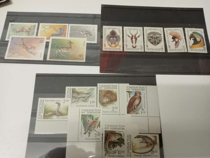 HUGE THEMATICS COLLECTION ALL ON 32 STOCK CARDS,paintings,plants etc etc-ALL UMM, BARGAIN