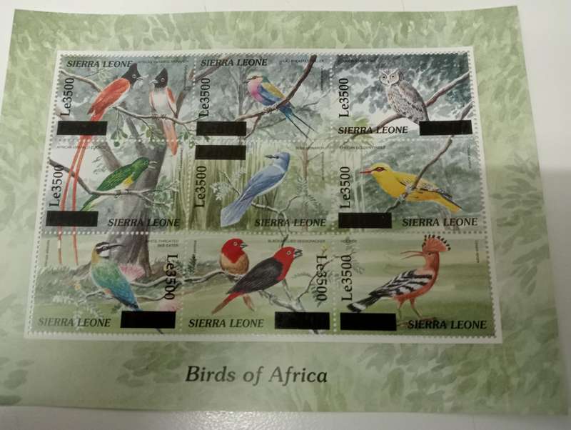 MANY GOOD UMM M/SHEETS-MANY BIRDS,ships SOME HIGH CATALOGEsee them below