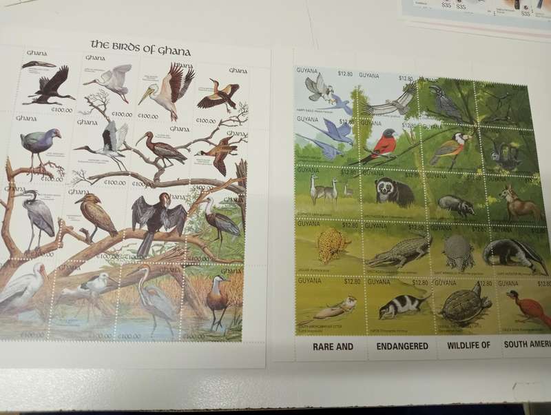 BIRDS-SCARCE MINI SHEETS AND FULL SHEETS-must see below !! all umm