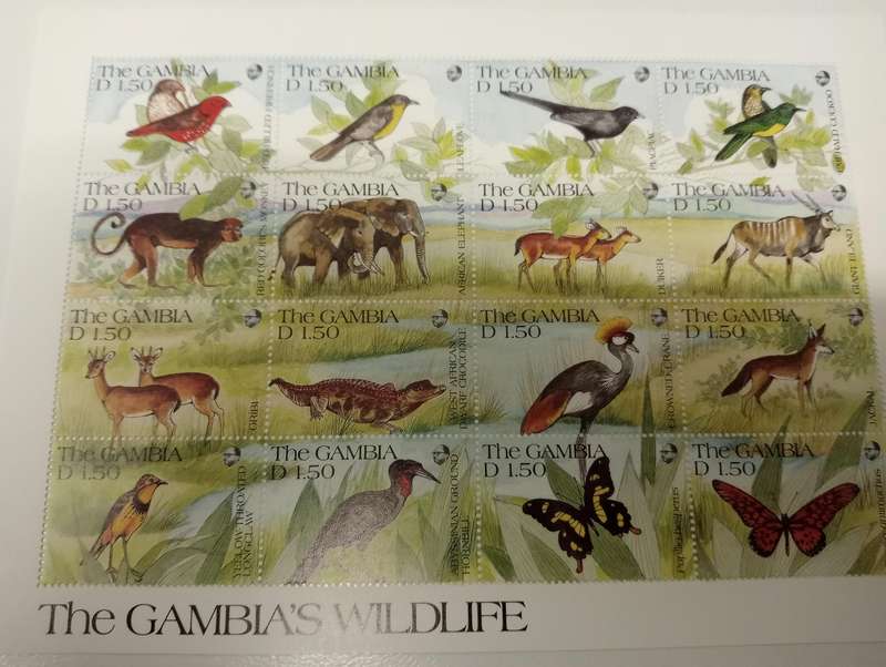 BIRDS-SCARCE MINI SHEETS AND FULL SHEETS-must see below !! all umm
