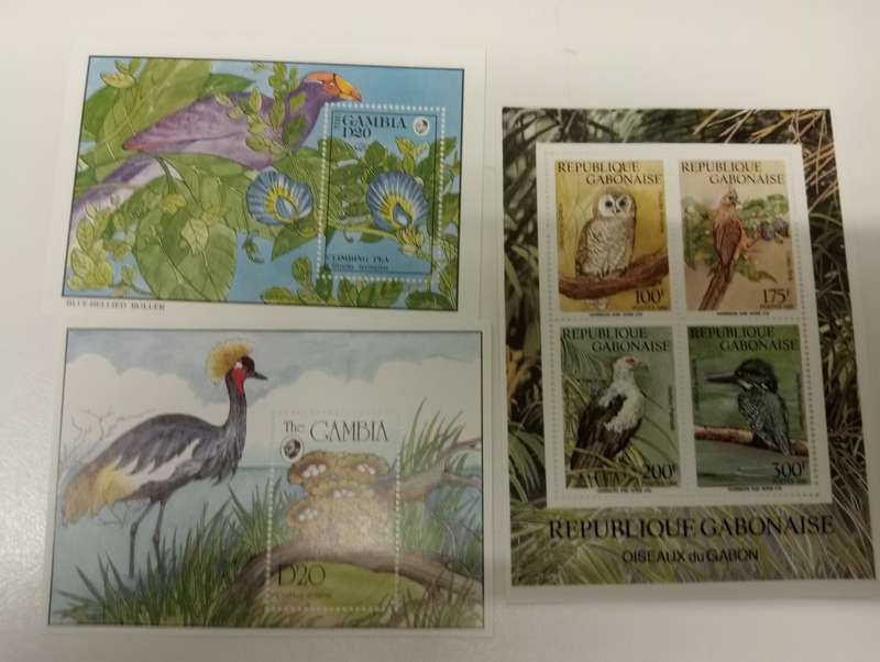 BIRDS-SCARCE MINI SHEETS AND FULL SHEETS-must see below !! all umm