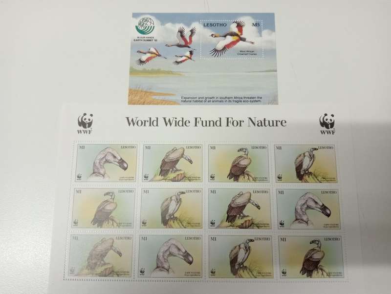 BIRDS-SCARCE MINI SHEETS AND FULL SHEETS-must see below !! all umm