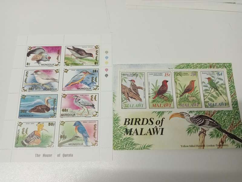 BIRDS-SCARCE MINI SHEETS AND FULL SHEETS-must see below !! all umm