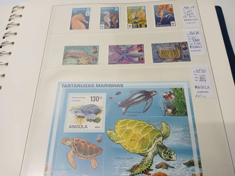 FISH SETS AND m/sheets   all umm some scarce high values.