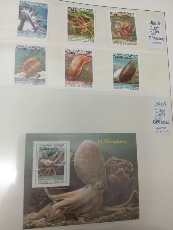 FISH SETS AND m/sheets   all umm some scarce high values.