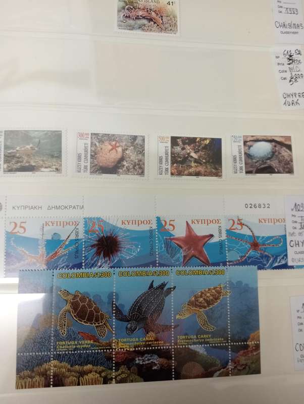 FISH SETS AND m/sheets   all umm some scarce high values.