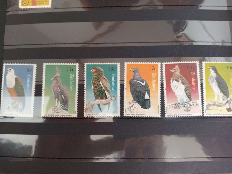 BIRDS SETS ETC BLOCKS and more-FILL SOME GAPS