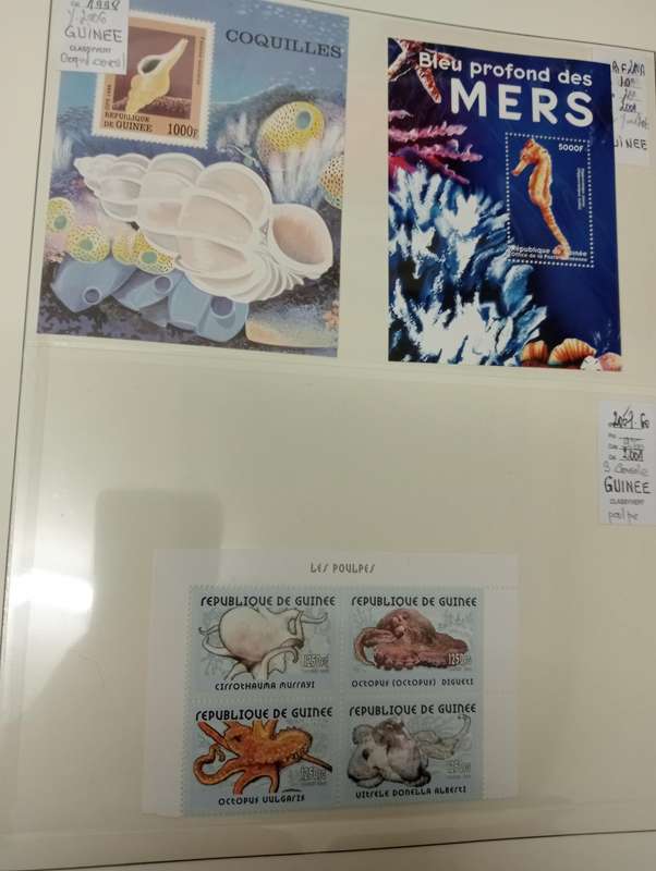 FISH stunning mini sheets and sets ALL UMM and catalogued !! SEE THEM ALL
