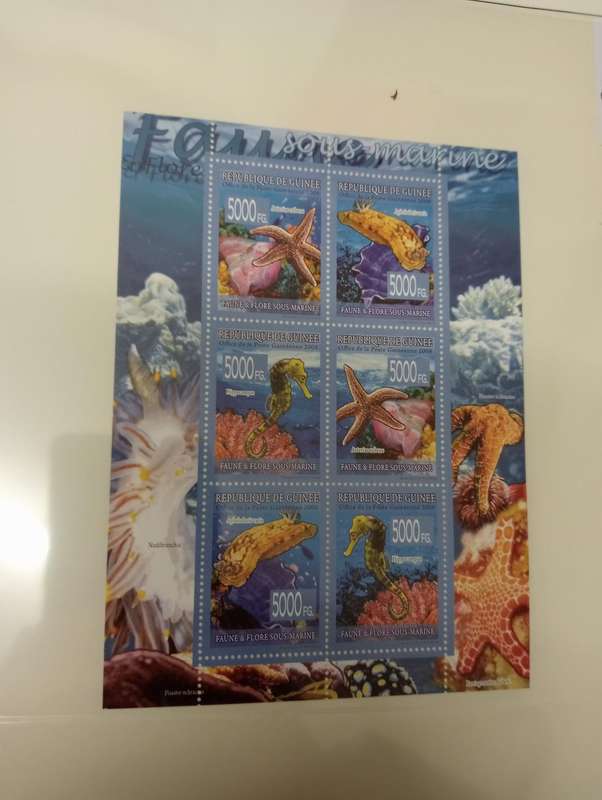 FISH stunning mini sheets and sets ALL UMM and catalogued !! SEE THEM ALL