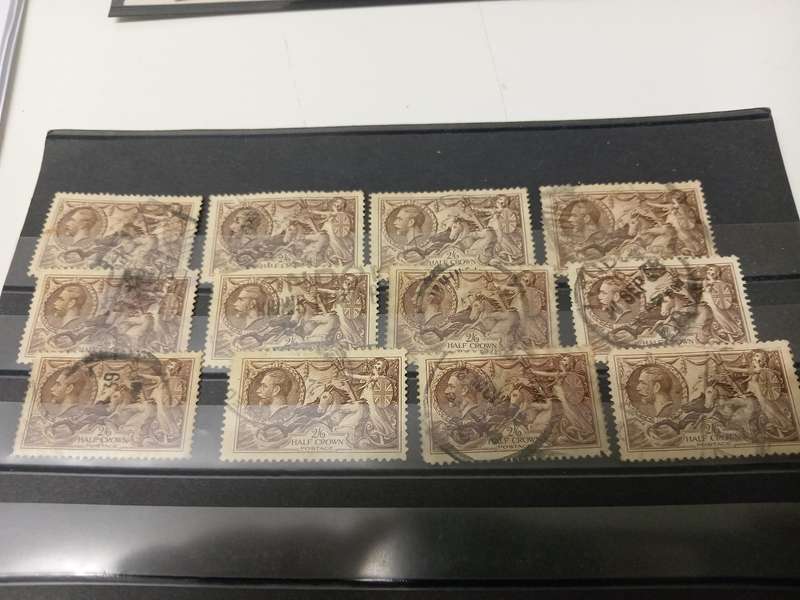 GB-2/6d LOVELY GROUP OF SEAHORSES BIG VALUE HERE