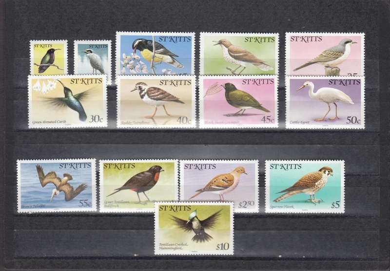 ST.KITTS QEII 1981 birds set superb umm