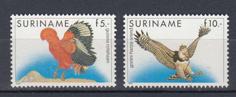 SURINAME-SCARCE TOP VALUE BIRDS SUPERB UMM  R1100.00