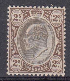 TVL-SCARCE SG 257 VFM-LIGHT H.R.  R2000.00