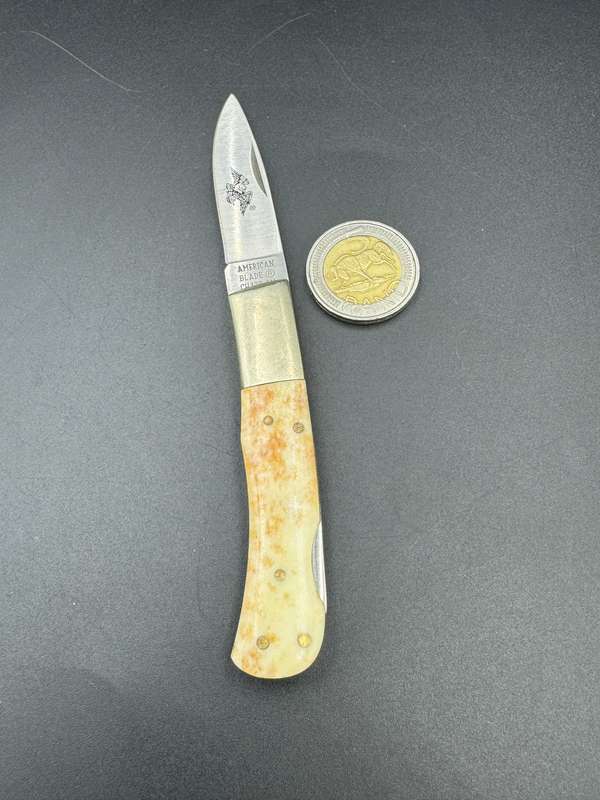 American blade chatt ab-16 Bone Stag