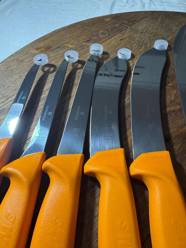 Victorinox Swibo Set x 8 Knives