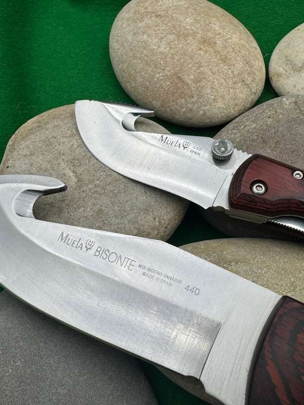 MUELA KNIVES SPAIN. BISONTE 11R KNIFE. + Folding Gut HOOK