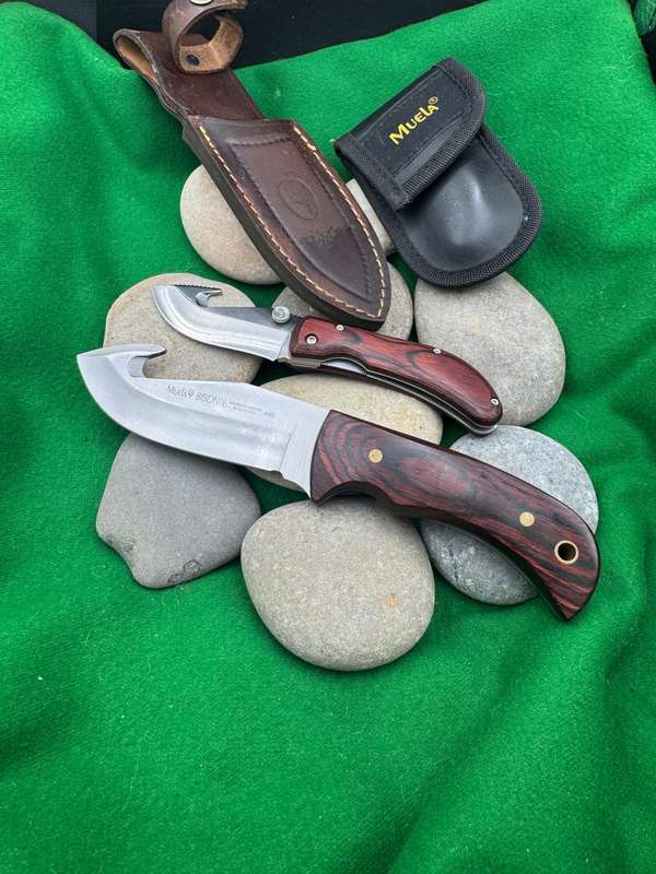 MUELA KNIVES SPAIN. BISONTE 11R KNIFE. + Folding Gut HOOK