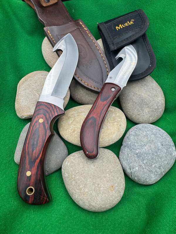 MUELA KNIVES SPAIN. BISONTE 11R KNIFE. + Folding Gut HOOK