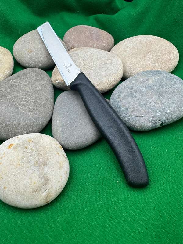 Victorinox Steak Knife Black