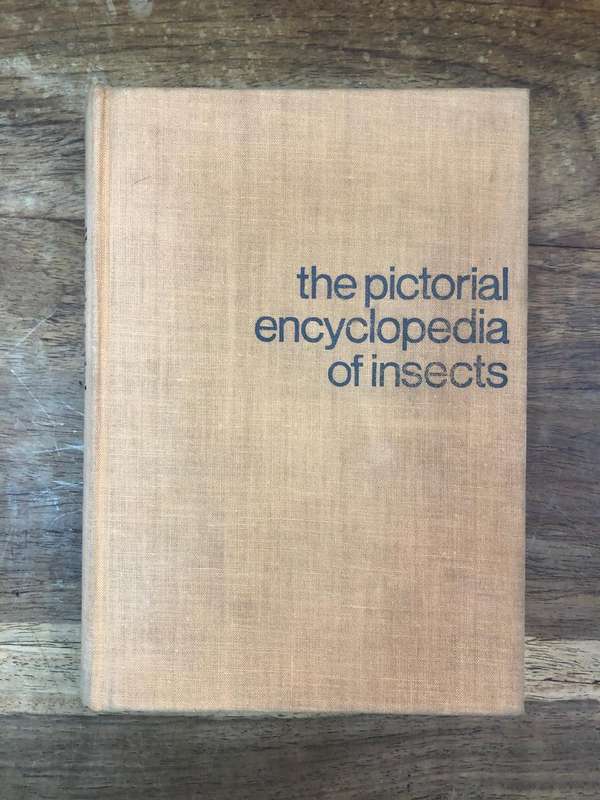 The Pictorial Encyclopedia of Insects - Paul Hamlyn (Hardcover book with dj)