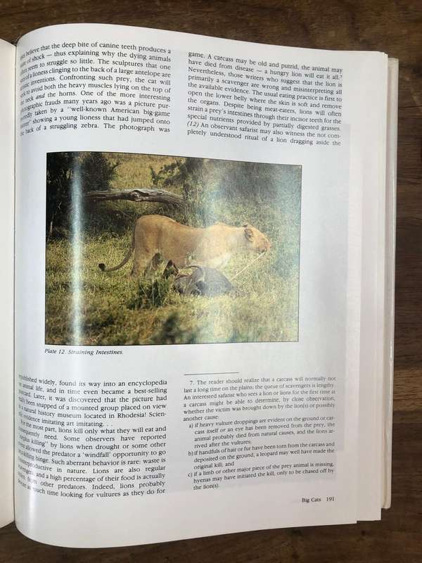 The African Safari - R Jay Fetner (Hardcover book with dj)