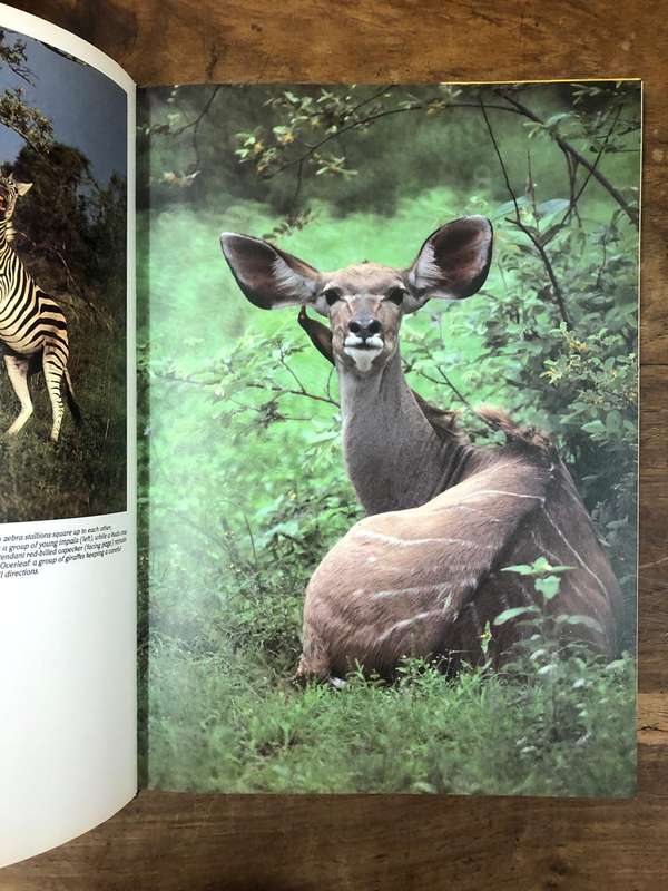 Wildlife of South Africa - David Steele (Hardcover book with dj)