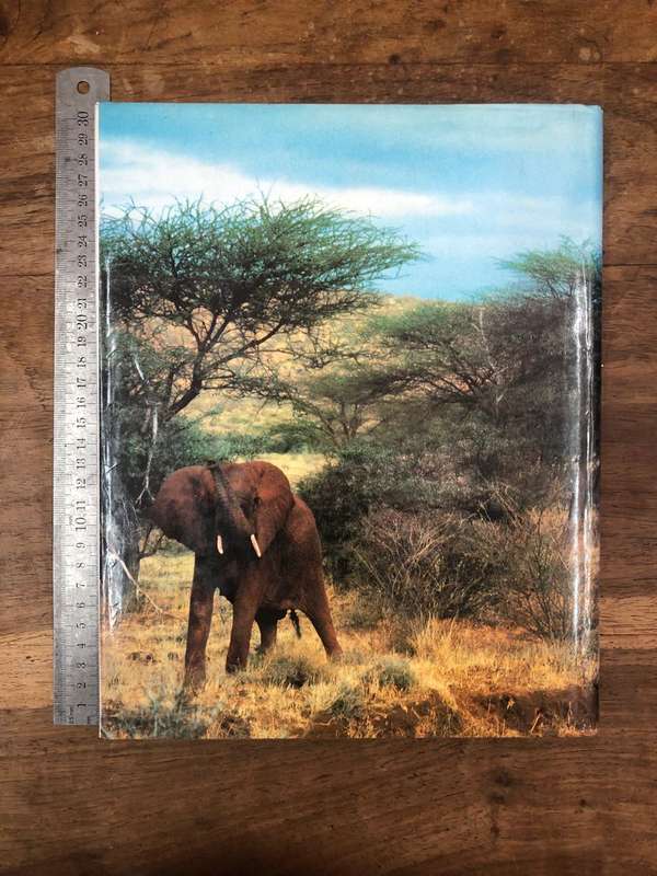 The African Safari - R Jay Fetner (Hardcover book with dj)