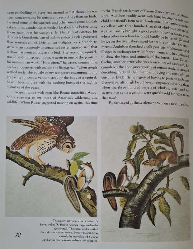 The Living World of Audubon Mammals - Robert Elman (Hard cover with DJ)