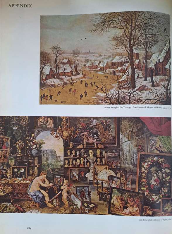 The World of Bruegel - Timothy Foote (Hard cover with no DJ)