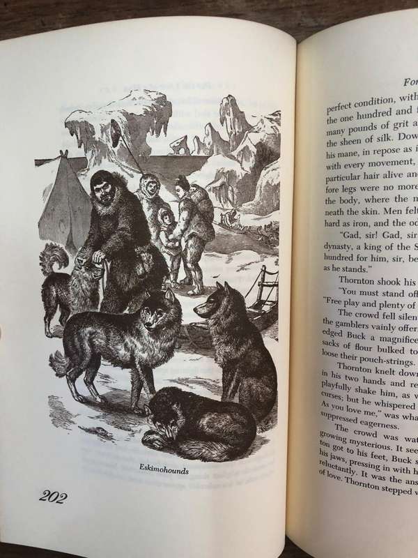 The Dog Lover's Reader - Timothy T Clarke (Hardcover book with no dj)