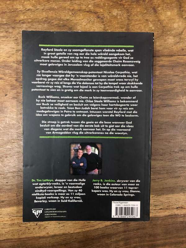 Die Ontheiliging - Tim LaHaye en Jerry B Jenkins (Paperback)