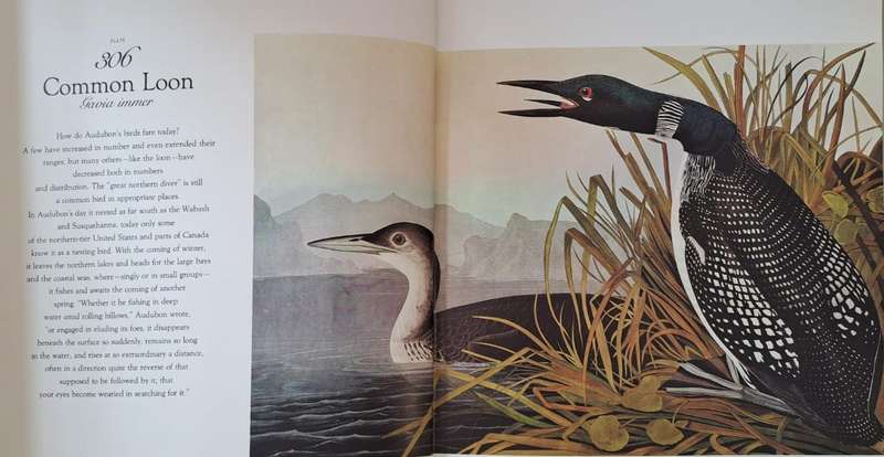 The living World of Audubon - Roland C. Clement (Hard cover with DJ)