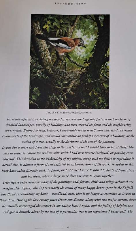 Birds an Artist's View - Rob Hume (Hard cover with DJ)