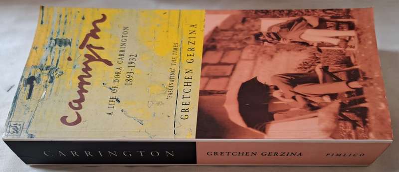 Carrington - Gretchen Gerzina (paperback)