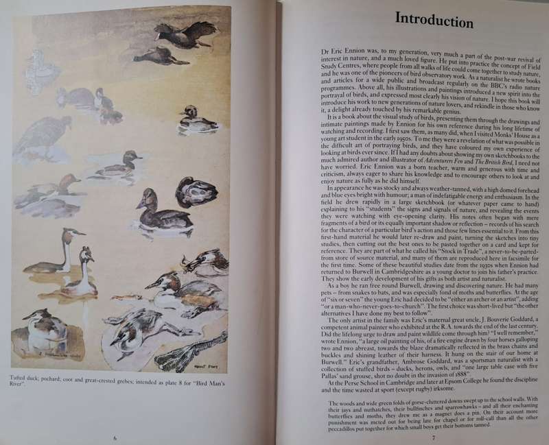 The Living Birds of Eric Ennion - John Busby (Hard cover with DJ)