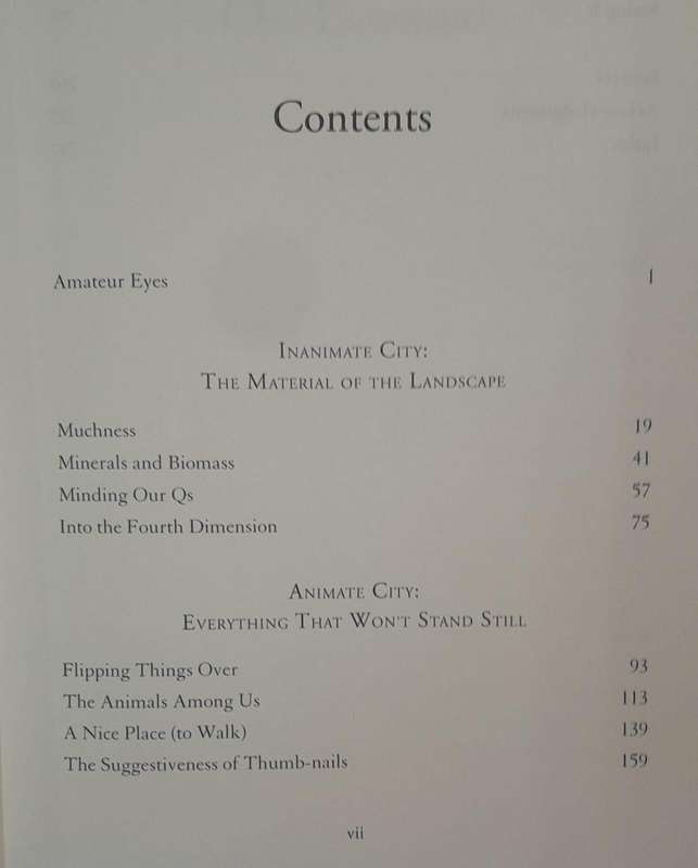 On Looking - Alexandra Horowitz (Paperback book with no dj)