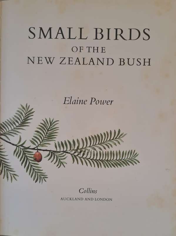 Small birds of the New Zealand bush - Elaine Power (Hardcover)