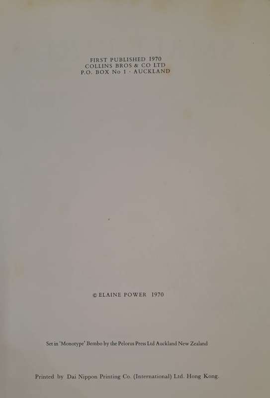 Small birds of the New Zealand bush - Elaine Power (Hardcover)