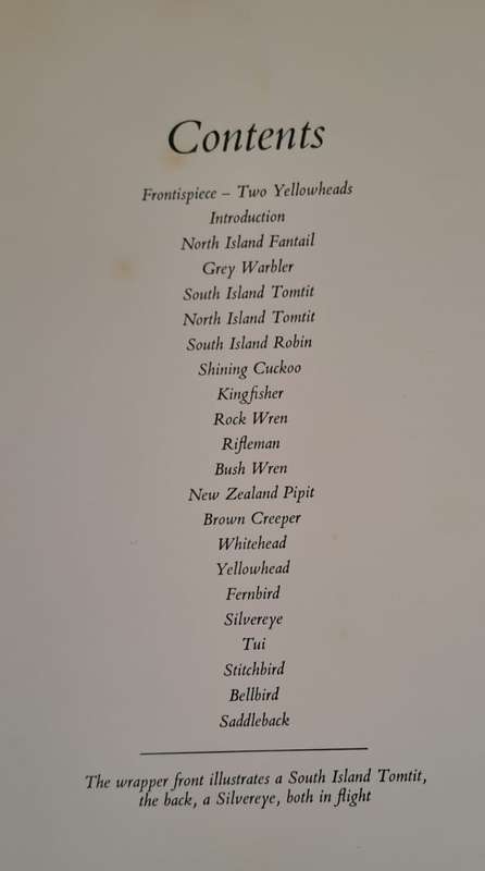 Small birds of the New Zealand bush - Elaine Power (Hardcover)