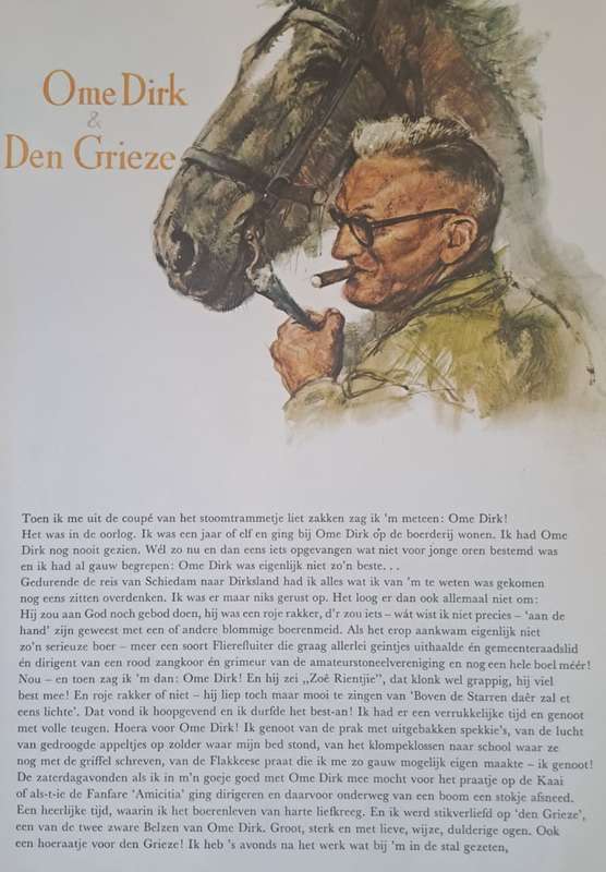 Te hooi en te Gras - Van Holkema & Warendorf (Hardcover)