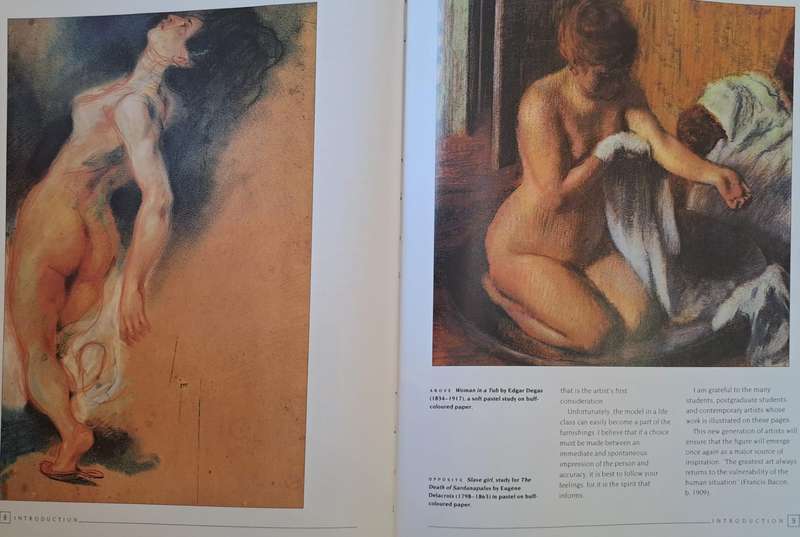 An introduction to Drawing the Nude - Diana Constance (Hardcover)