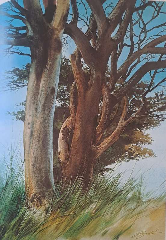 Paints Landscapes - Zoltan Szabo (Hardcover)