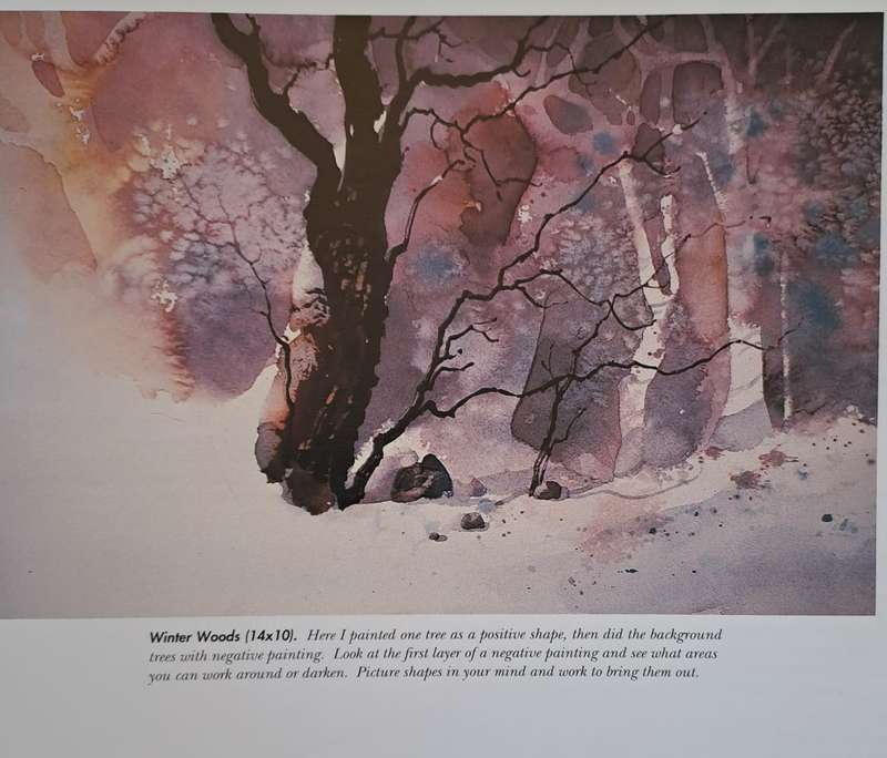 Fill your Watercolors with light and color - Roland Roycraft (Hardcover)
