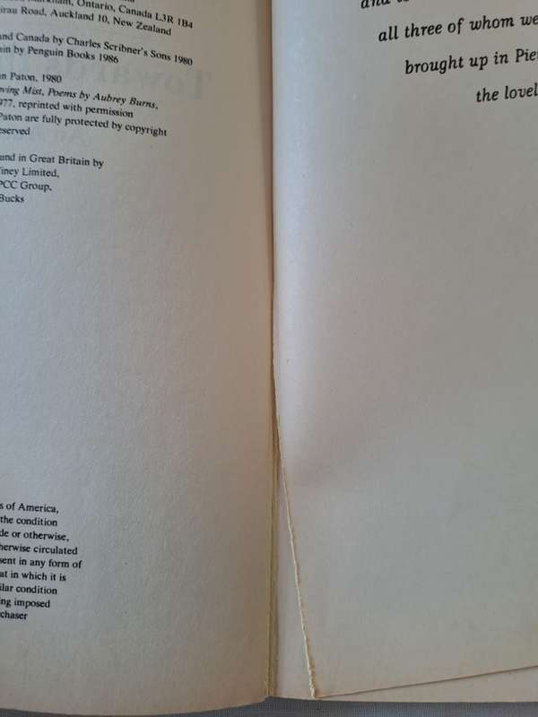 Towards the Mountain - Alan Paton (Paperback)