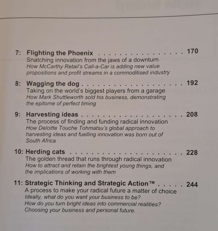 Lessons in Radical Innovation - Wolfgang Grulke (Paperback)