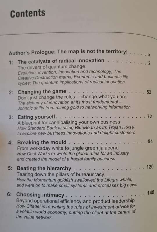 Lessons in Radical Innovation - Wolfgang Grulke (Paperback)